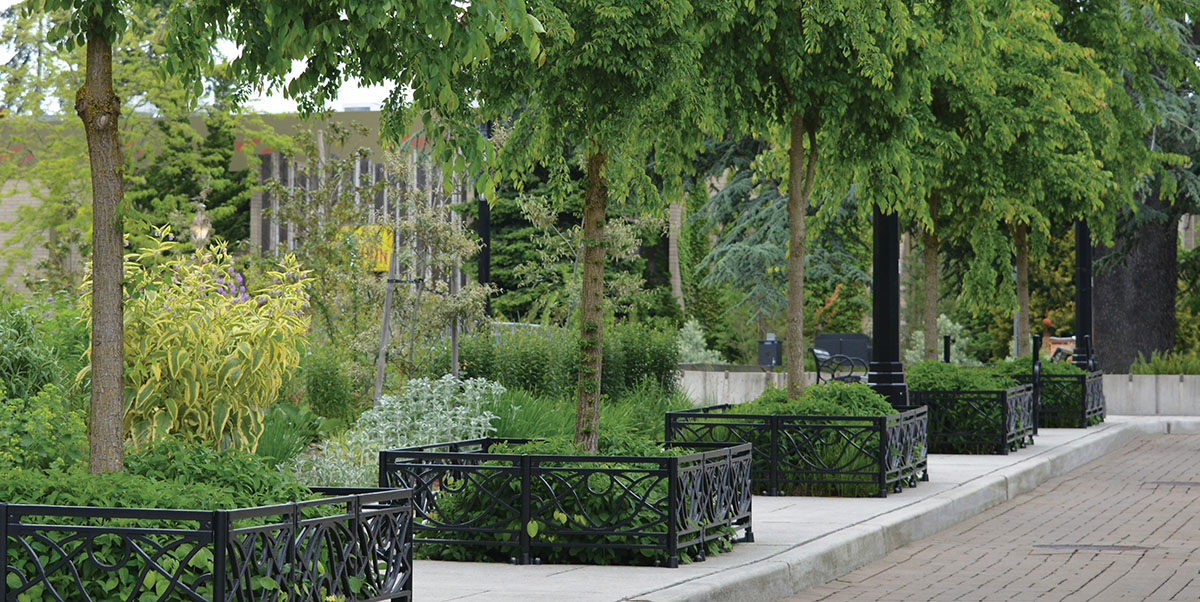 tree planters