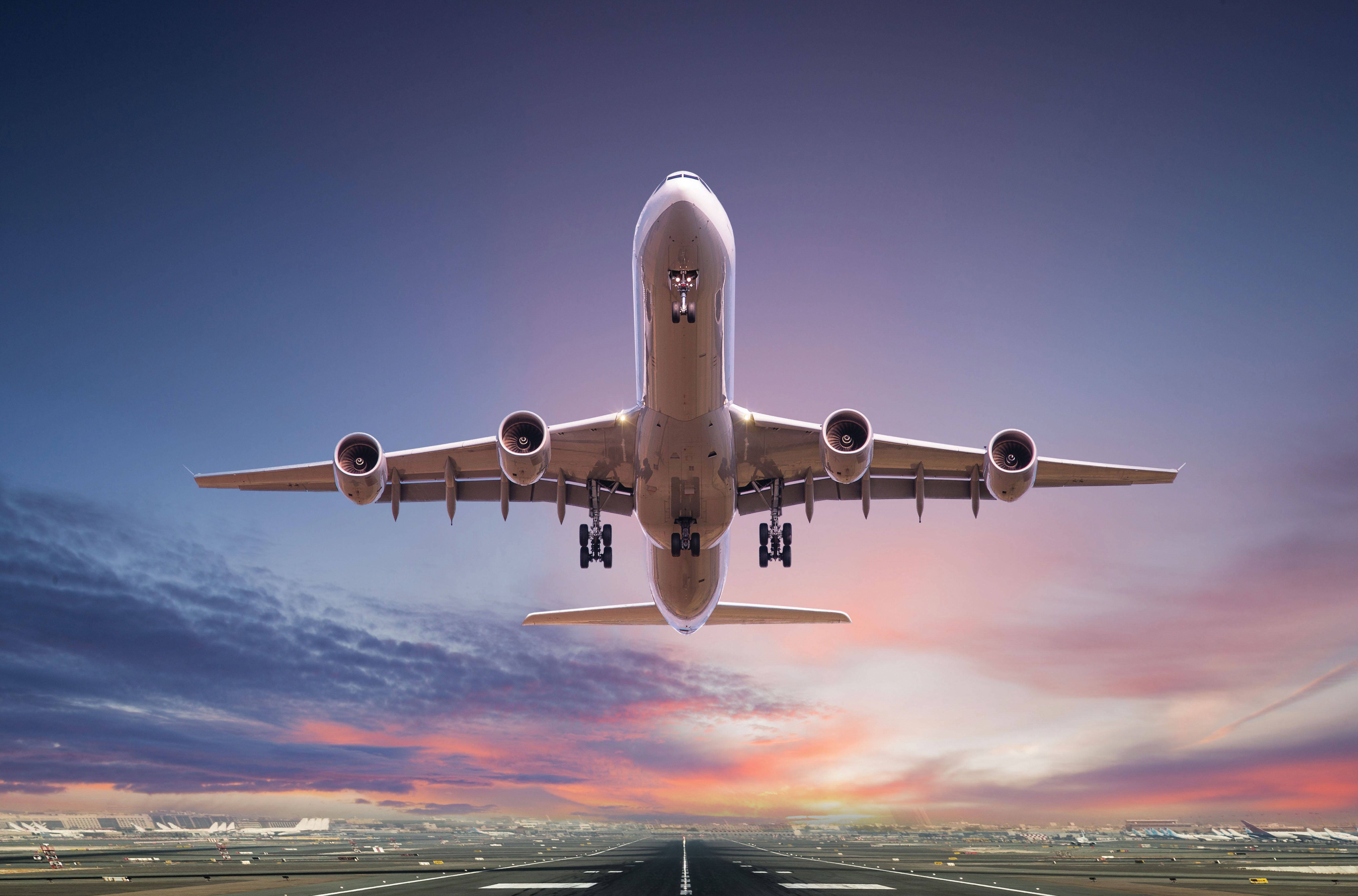 flight